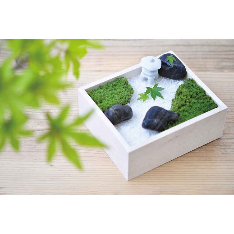 苔盆 GD-719 【プラザセレクト】