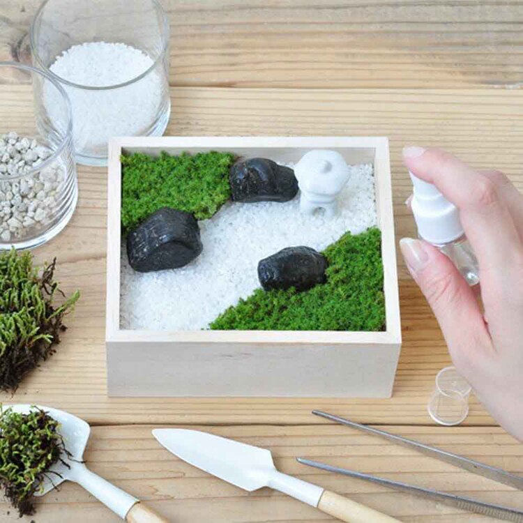 苔盆 GD-719 【プラザセレクト】