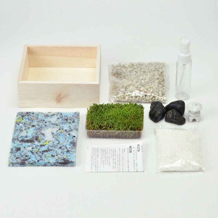 苔盆 GD-719 【プラザセレクト】