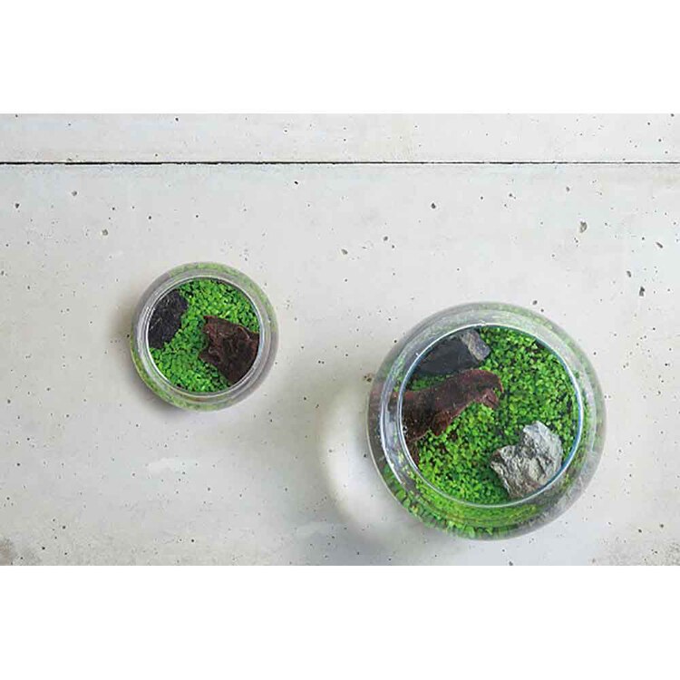 育てる水草(S) GD-812 【プラザセレクト】