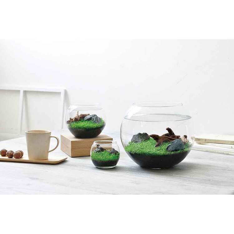 育てる水草(S) GD-812 【プラザセレクト】