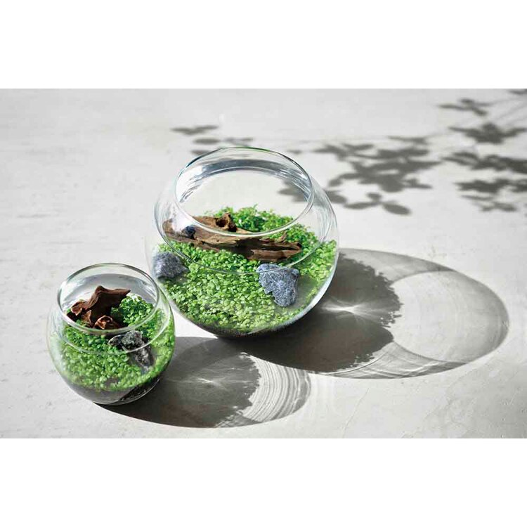 育てる水草(S) GD-812 【プラザセレクト】