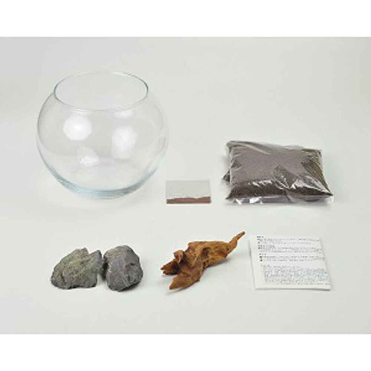 育てる水草(S) GD-812 【プラザセレクト】