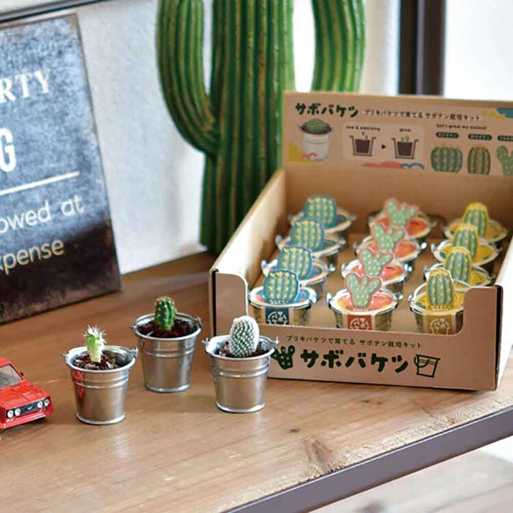 サボバケツ栽培キット GD-103401 GD-103402 GD-103403 【プラザセレクト】
