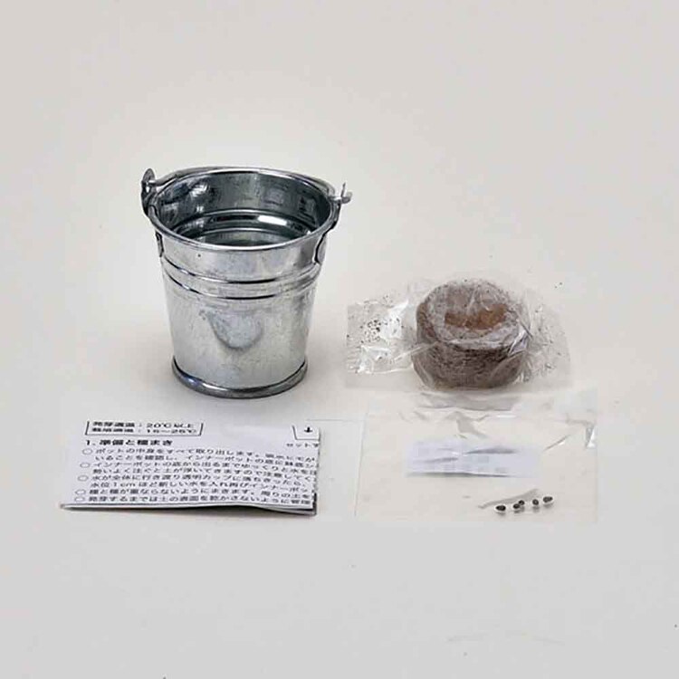 サボバケツ栽培キット GD-103401 GD-103402 GD-103403 【プラザセレクト】