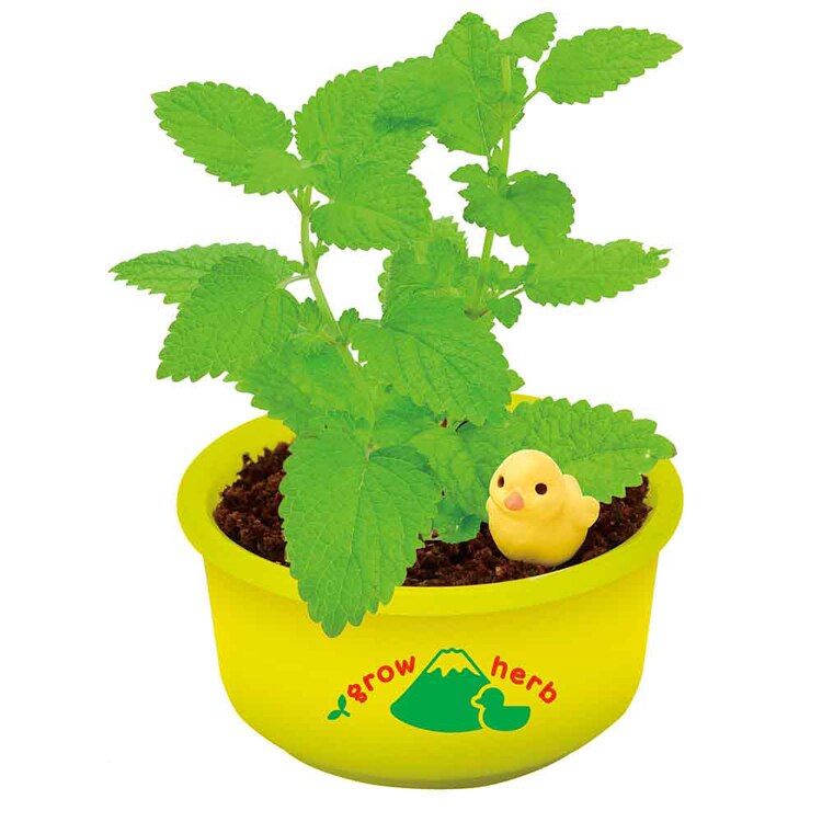 育てるカプセル ゆ桶でハーブ栽培 GD-1035 【プラザセレクト】