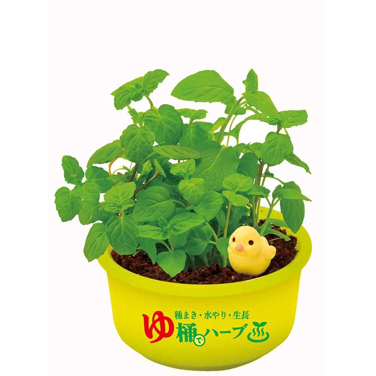 育てるカプセル ゆ桶でハーブ栽培 GD-1035 【プラザセレクト】