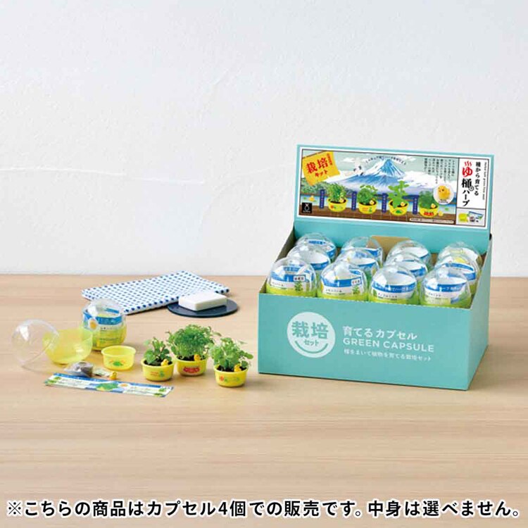 【4個セット】育てるカプセル ゆ桶でハーブ栽培 【プラザセレクト】