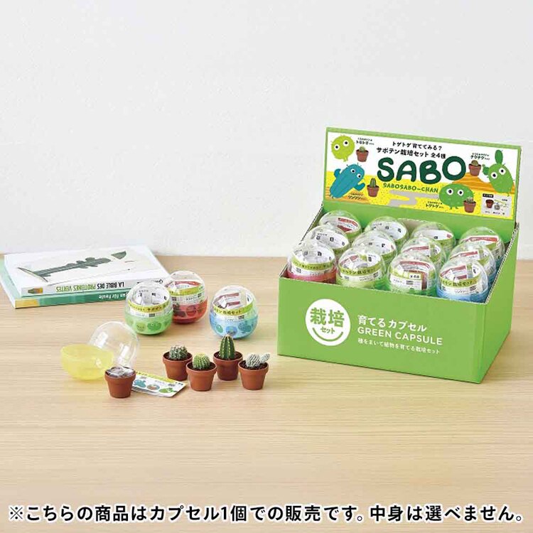 育てるカプセル サボテン GD-921 【プラザセレクト】