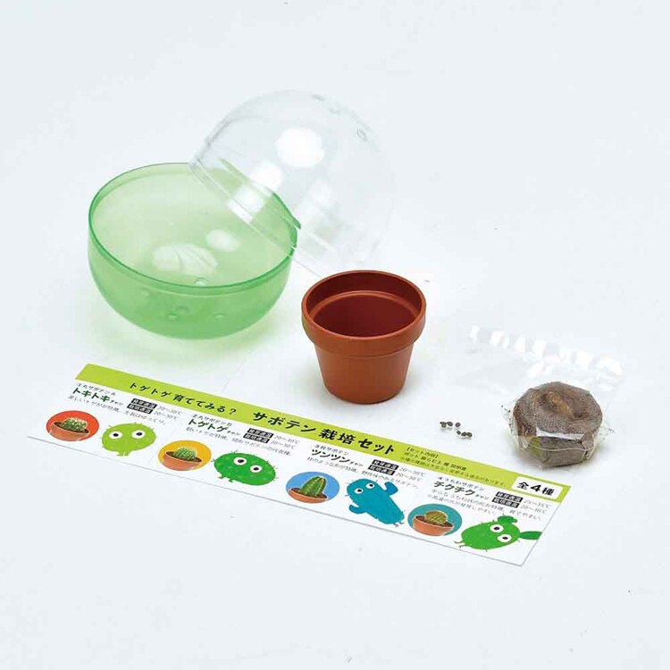 育てるカプセル サボテン GD-921 【プラザセレクト】