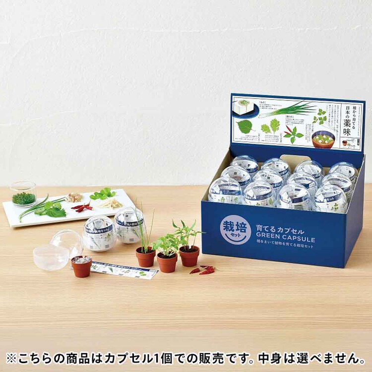 育てるカプセル 薬味 GD-926 【プラザセレクト】