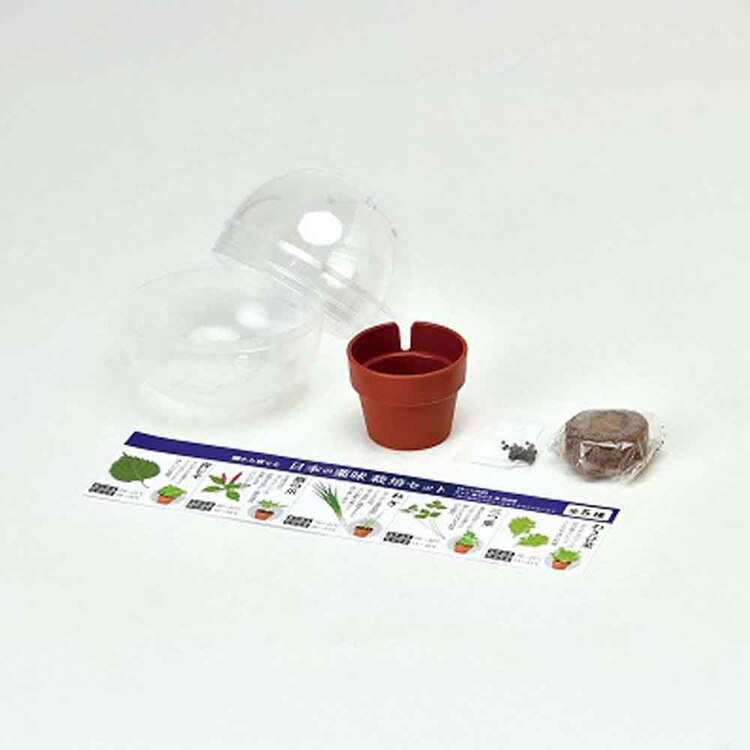 【4個セット】育てるカプセル 薬味 【プラザセレクト】