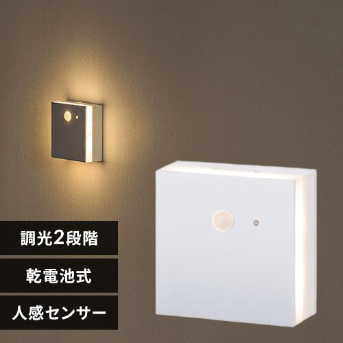 センサーライト LED 乾電池式 全方向発光タイプ BSL-MS2