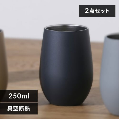 �y2�_�Z�b�g�z �^���u���[ 250ml �X�e�����X�^���u���[ STE-250 �u���b�N