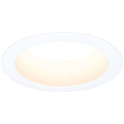 �y�H���K�v�z���C��SB�`�_�E�����C�g ���ω΍\���Ή� ��������100 �����F 450lm LSB100-0635NCSSW-V4 