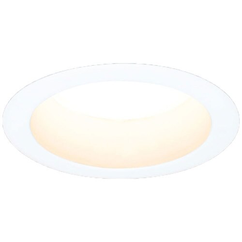 �y�H���K�v�z���C��SB�`�_�E�����C�g ���ω΍\���Ή� ��������100 �����F 450lm LSB100-0650NCSSW-V4