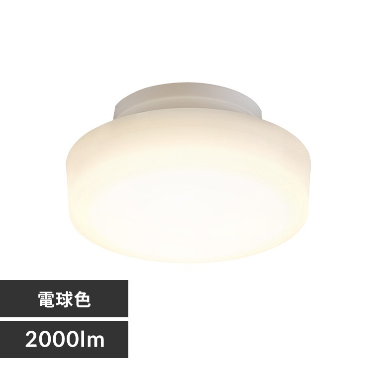 ���^�V�[�����O 2000lm �d���F �l������ SCL20L-H