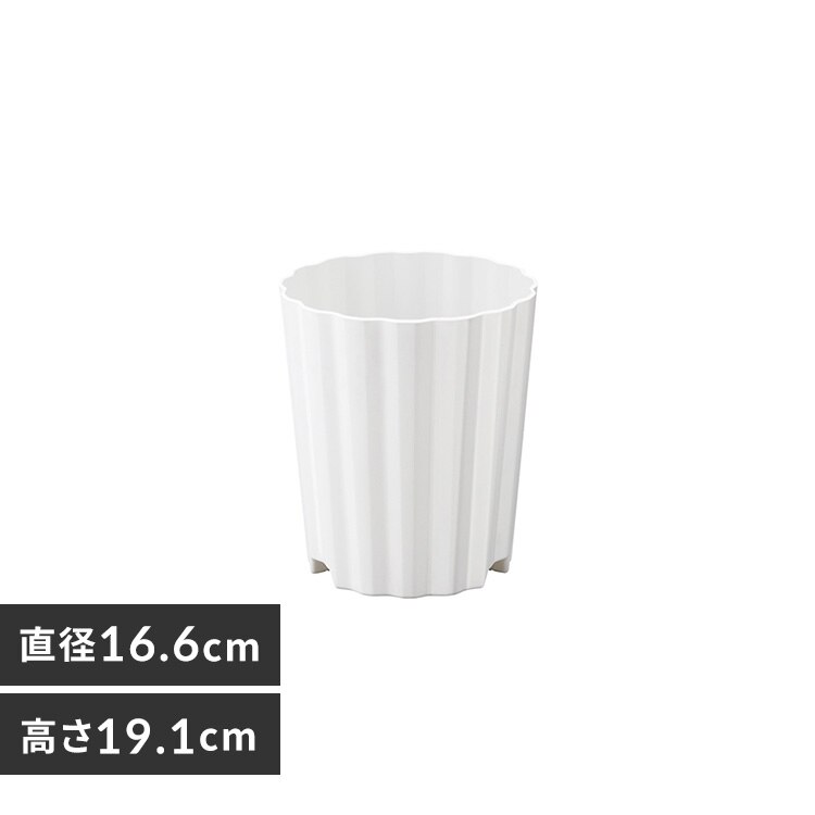 �E�F�[�u�|�b�g�U�� WP-6 �z���C�g