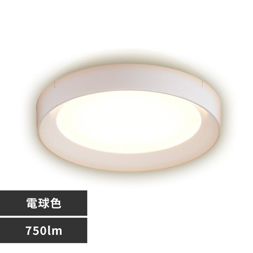 �p�l�����C�g �t���[���^�C�v ���^ LED 750lm �d���F ���� �L�� �L�b�`�� ���ʏ� �N���[�[�b�g �g�C�� ���u �Ɩ� SCL75L-DU �z���C�g