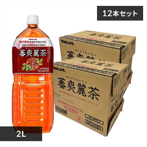 �y12�{�z ���N���g �בu�풃 2L 