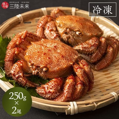 �O���Y�{�C���уK�j250�� 2���Z�b�g �y���Ԏw��s�z�y����s�z�y�����s�z �y�����z