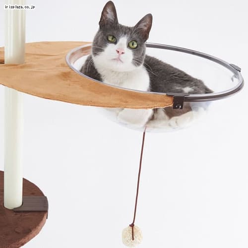 �{���r�A���R�� �L���b�g�|�[���p�N���A�n���K�[�i�ʔ��p�j   