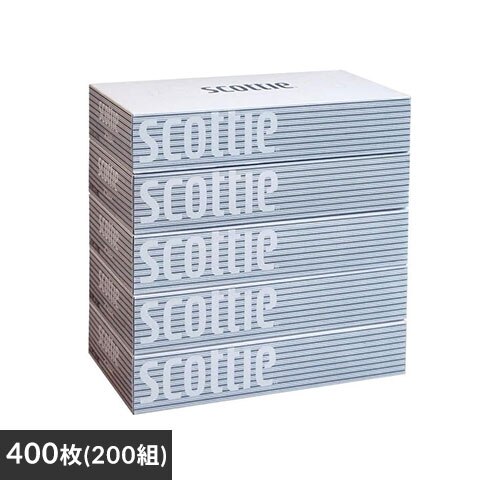 �y5���z �X�R�b�e�B �e�B�b�V�� 400�� (200�g) 5�� ���{�����N���V�A