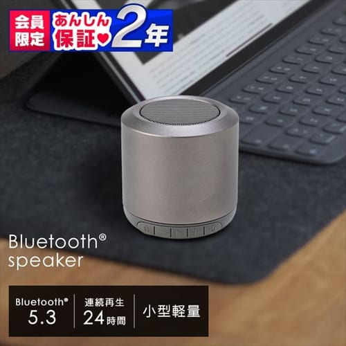 �X�s�[�J�[ Bluetooth �A���g�p24h BTS-101-H �O���[ 