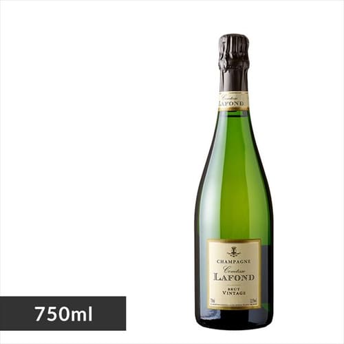 �R���e�X���t�H���u�����b�g���B���e�[�W �� TA2081 