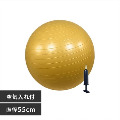 �o�����X�{�[��55cm 23-187 �S�[���h