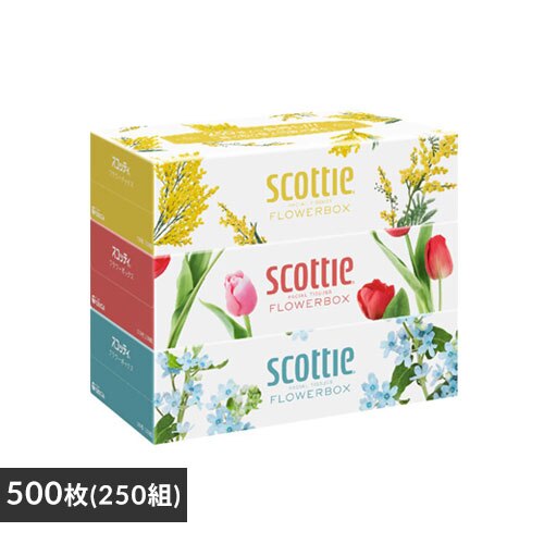 【3箱】 スコッティ ティッシュ 500枚 (250組) 3箱 日本製紙クレシア