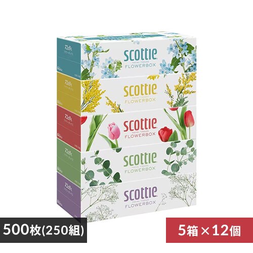 【60箱】 スコッティ ティッシュ 500枚 (250組) 5箱×12 日本製紙クレシア