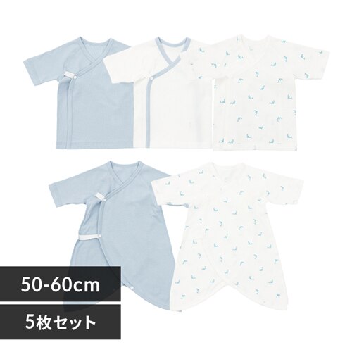 �V��������5���g �C���J�i�u���[�j