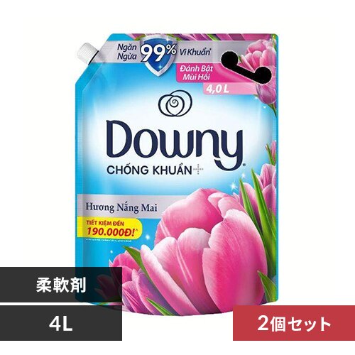 �y2�Z�b�g�z �A�W�A���_�E�j�[ �T�����C�Y�t���b�V�� 4L