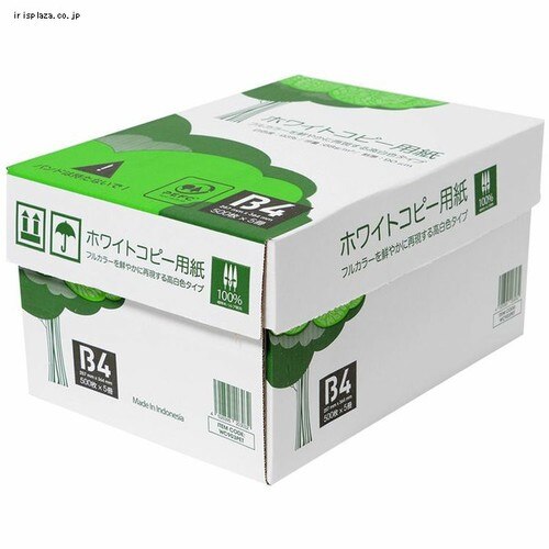 �y2500������z �R�s�[�p�� APP B4 500���~5