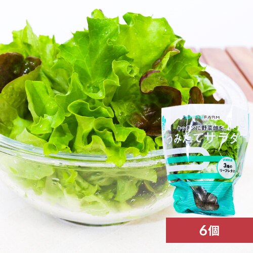 �y6�z �݂��ăT���_�i���^�X�j �y���Ԏw��s�z�y����s�z�y�����s�z�y�����z