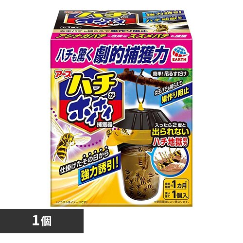 �A�[�X���� �n�`���z�C�z�C 