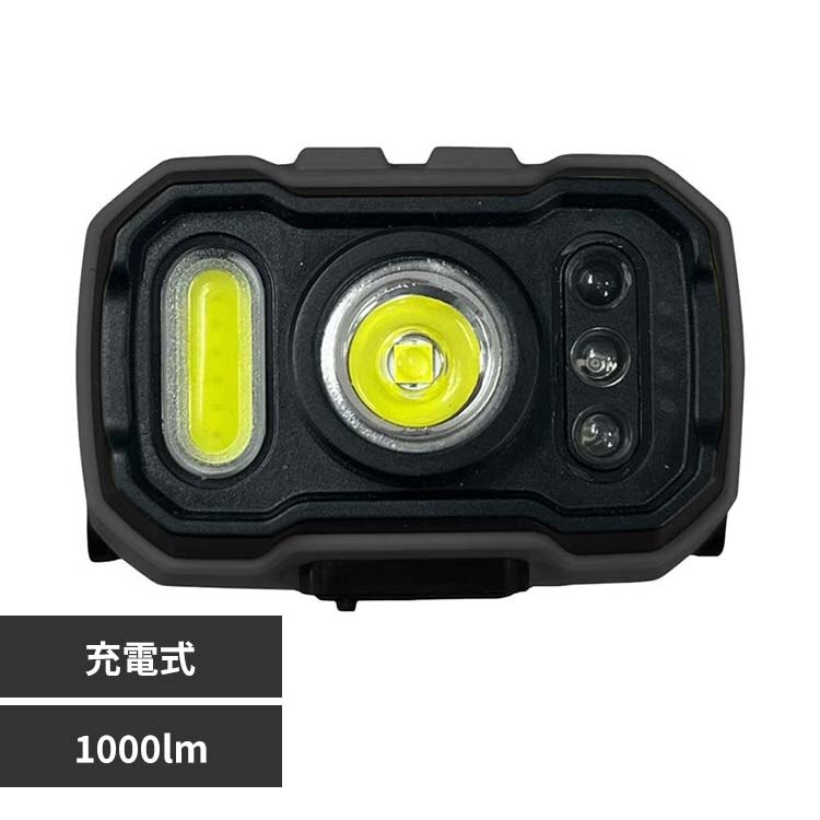 YSN �[�d�w�b�h���C�g1000lm HX10LT-039BK 