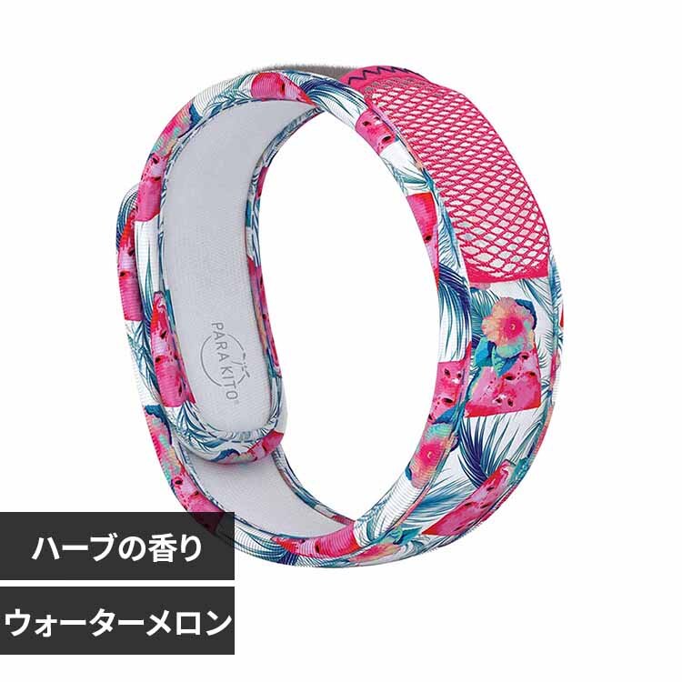 �O���t�B�b�N�o���h FNGWB1JPG117 �E�H�[�^�[������