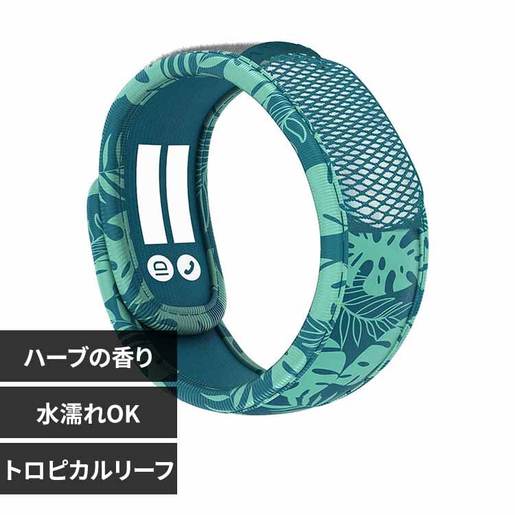 �L�b�Y�o���h FNGWB1JPK60 �g���s�J�����[�t