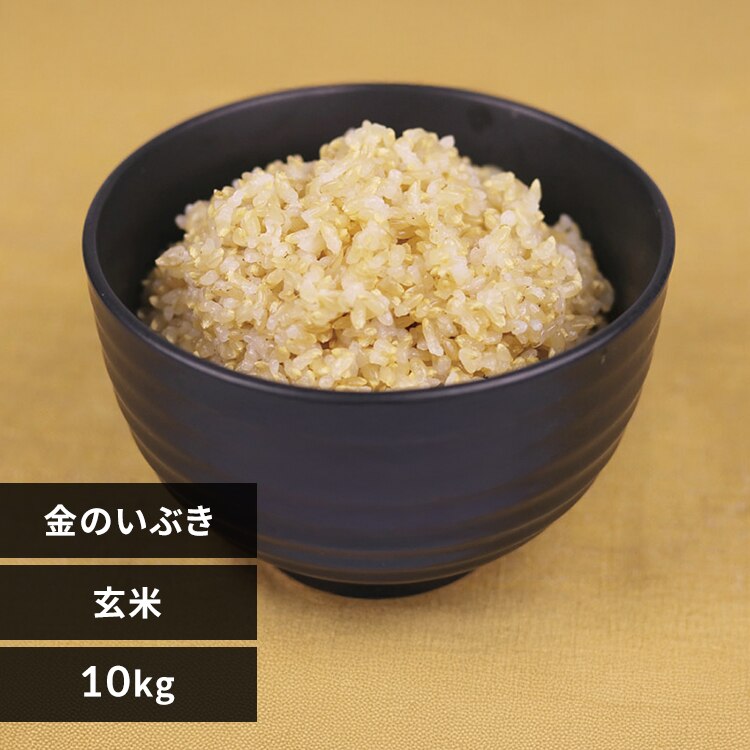 �O�J��]���̂��Ԃ�����10kg�y�����z