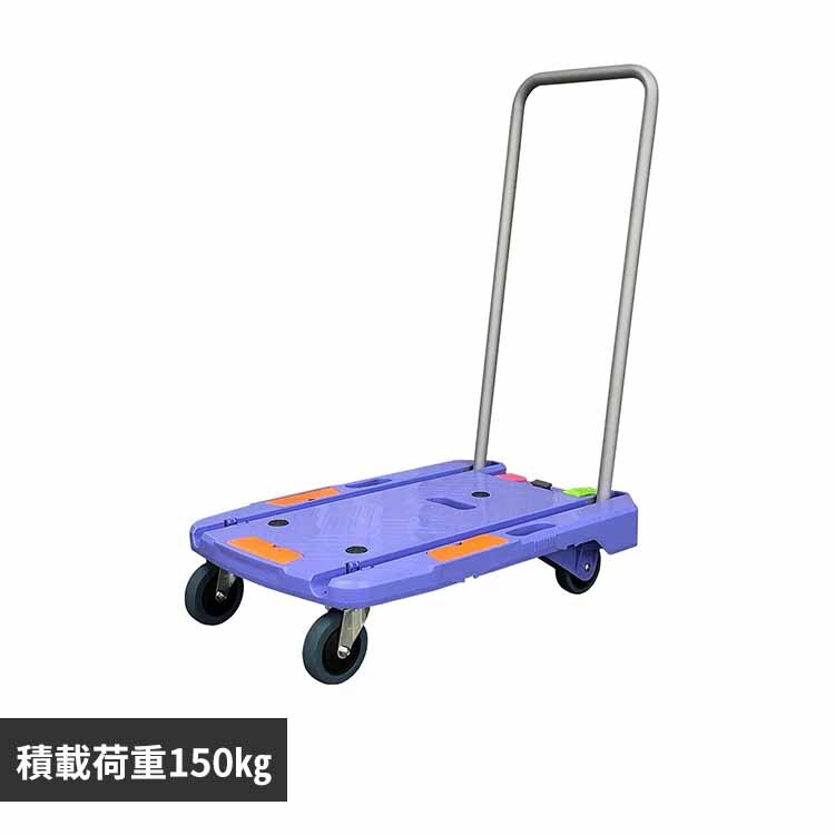 �R���p�N�g�L�����[ �u���[ NCC-101B2 