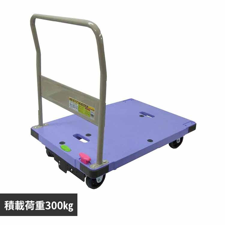 �T�C�����g�}�X�^�[ �X�y�V�����u���[�L�t �u���[ DSK-302B2 