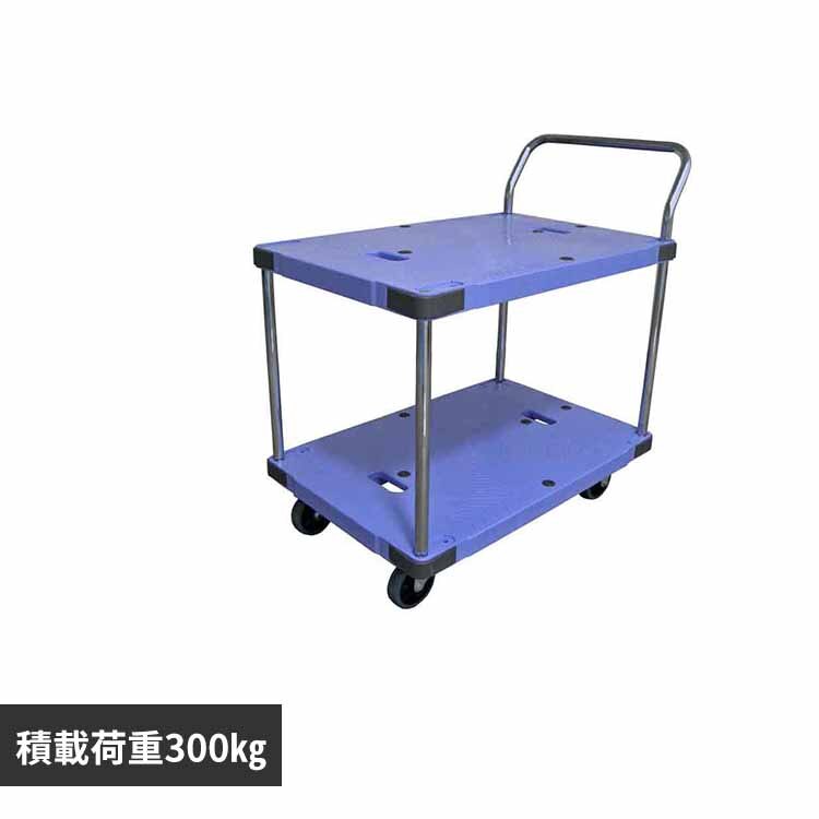 �T�C�����g�}�X�^�[ 2�i ��� �u���[ DSK-304 