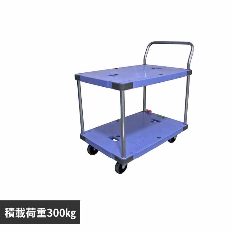 �T�C�����g�}�X�^�[ 2�i ��� �u���[ DSK-304B2 