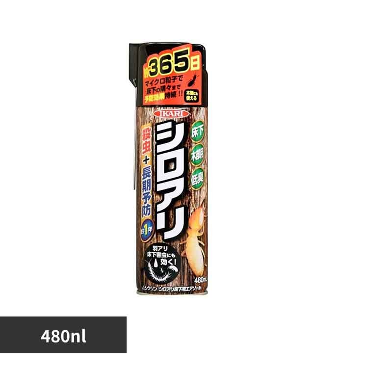 ���V�N�����@�V���A�������G�A�]�[�� 