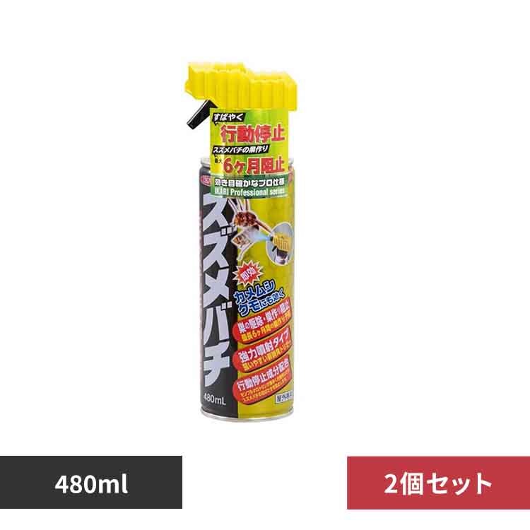 �y2�Z�b�g�z�X�Y���o�`�W�F�b�g�S�[���h 