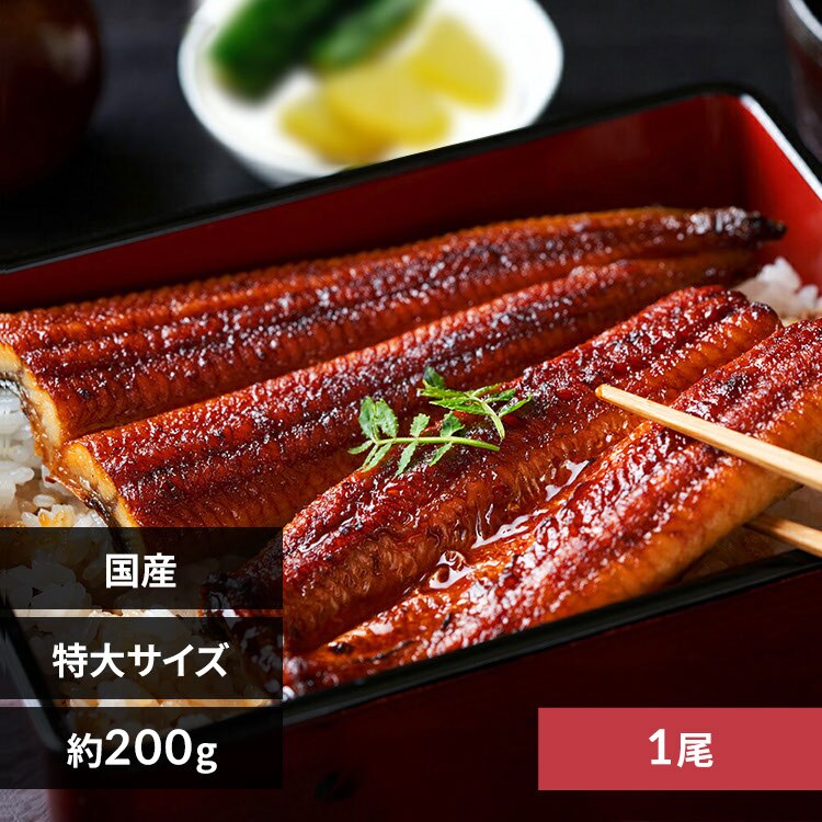 �y1���z����V�i��200g/���j �y�����z