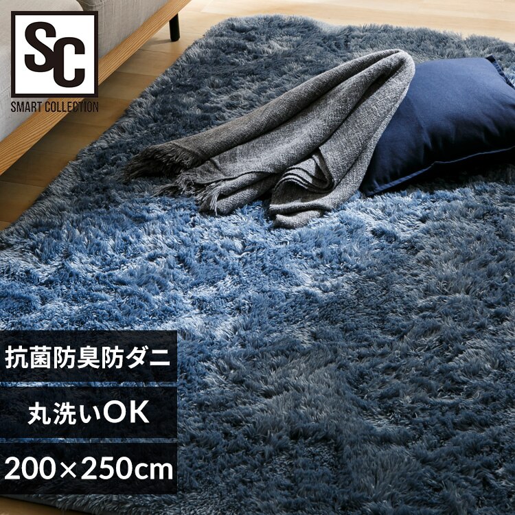 ラグ シャギーラグ ウレタン入り 抗菌防臭 防ダニ加工 200cm×250cm ダスティブルー SGY-2025