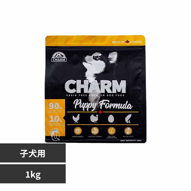 �`���[���@�p�s�[�@�P�jG 